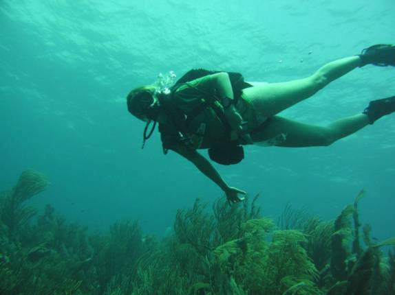 Mergulhando em South Pier, no sul de Bonaire